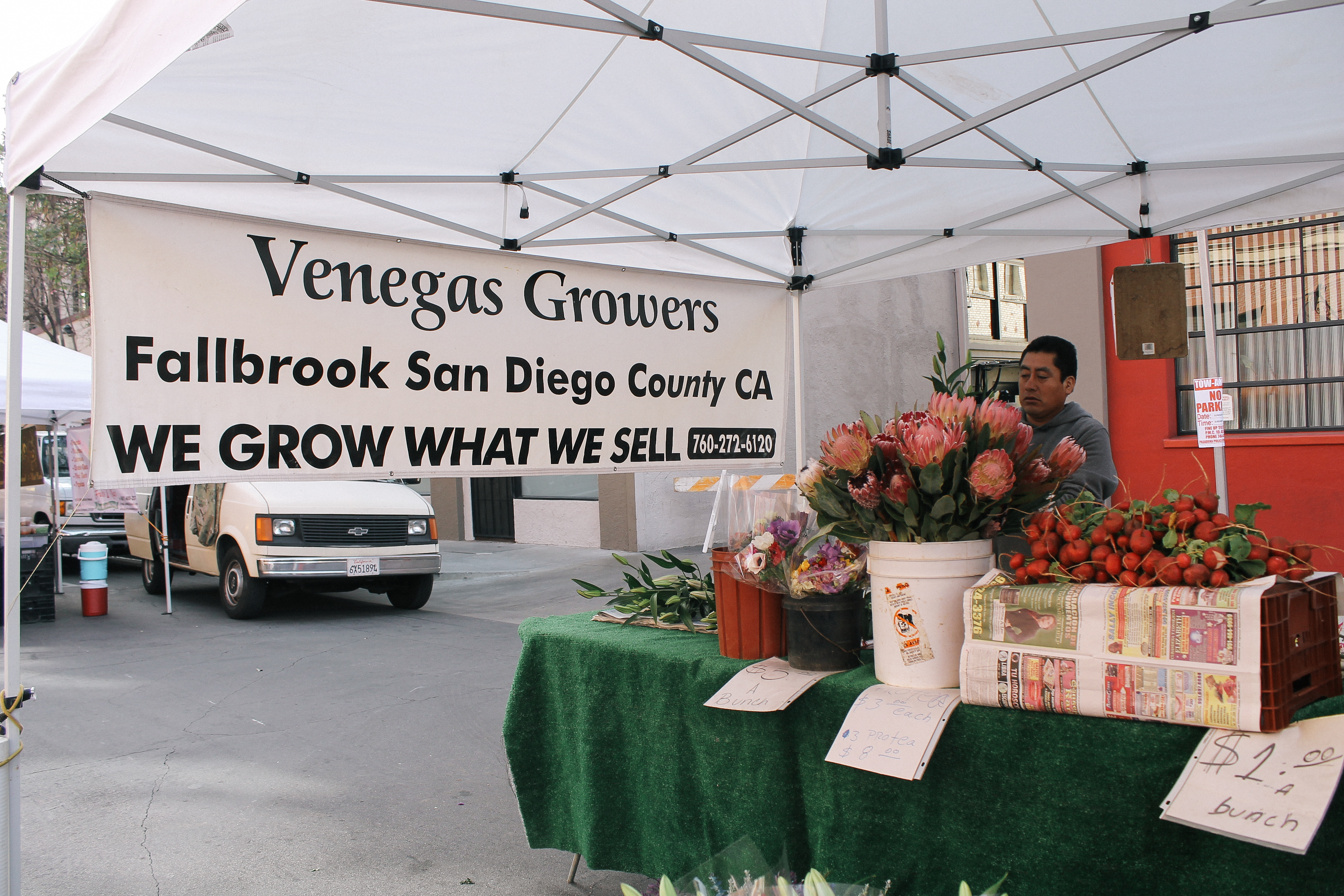 fresh flowers from Venegas Growers 