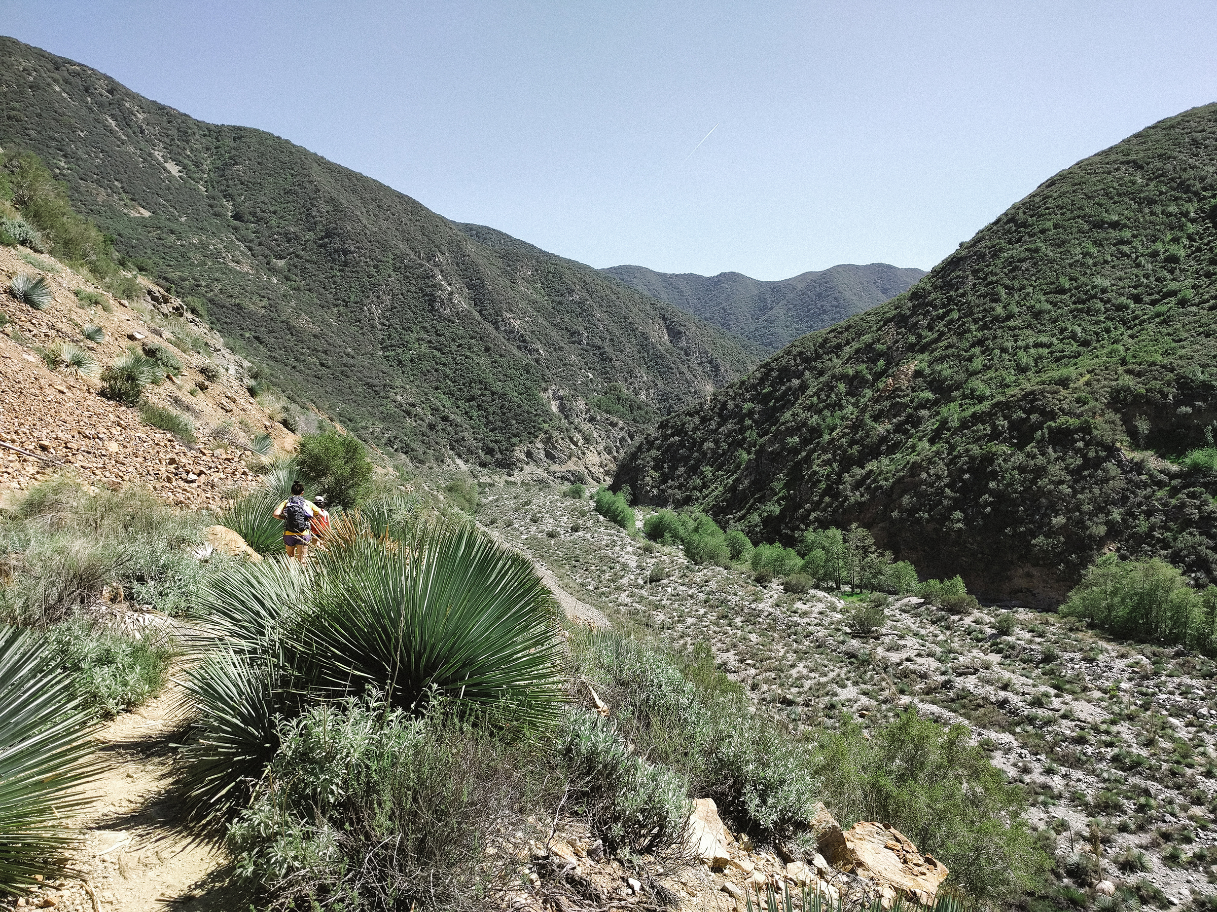 Hike to the Bridge to Nowhere