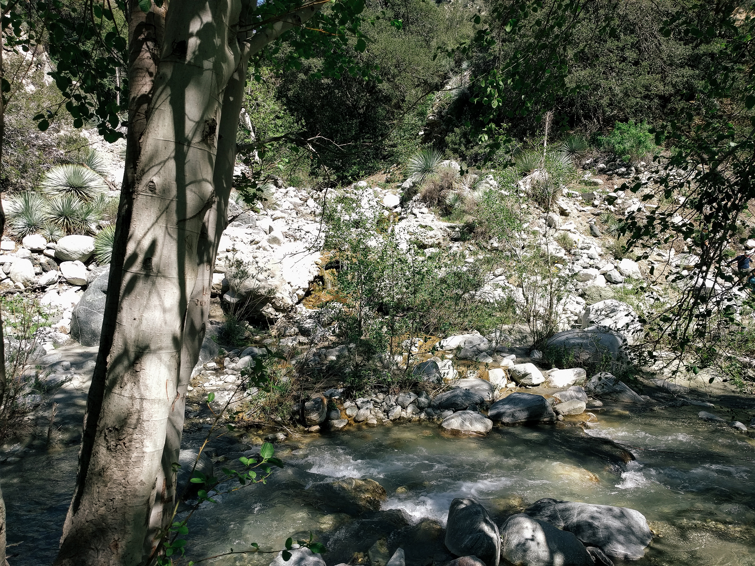 Hike to the Bridge to Nowhere