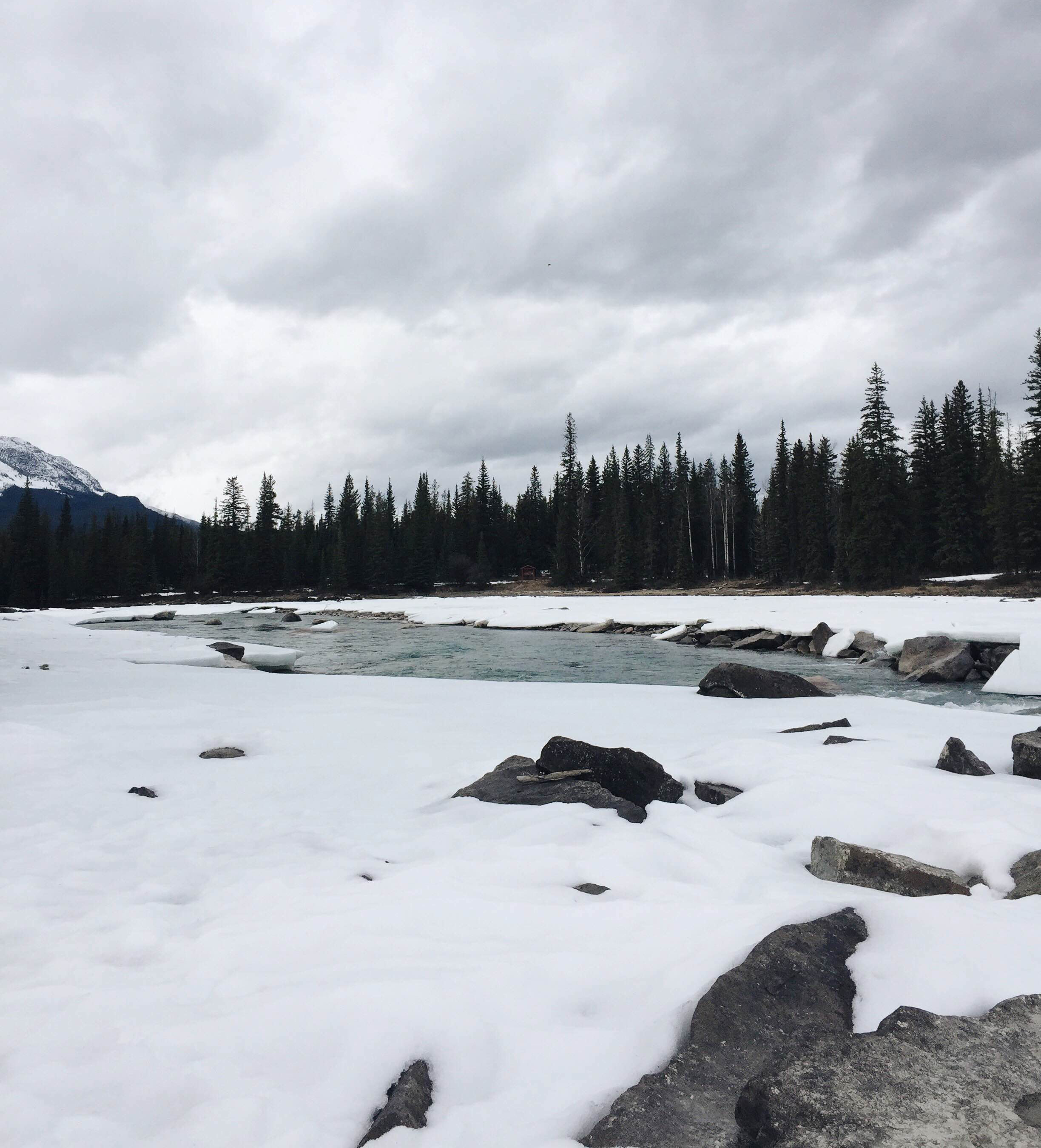 Athabasca Falls riverbank in Jasper National Park