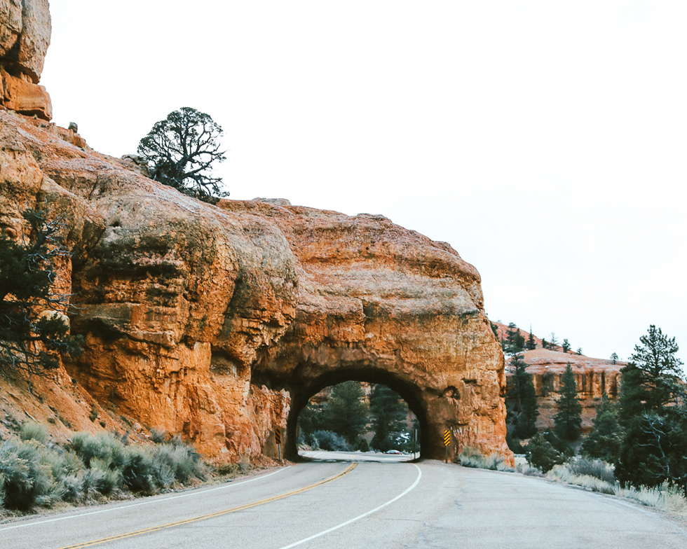 Dixie National Forest