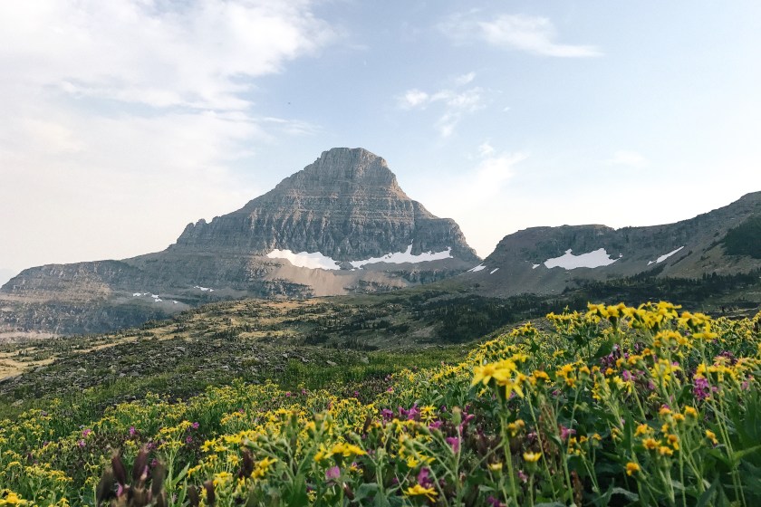 Logan Pass in Glacier National Park