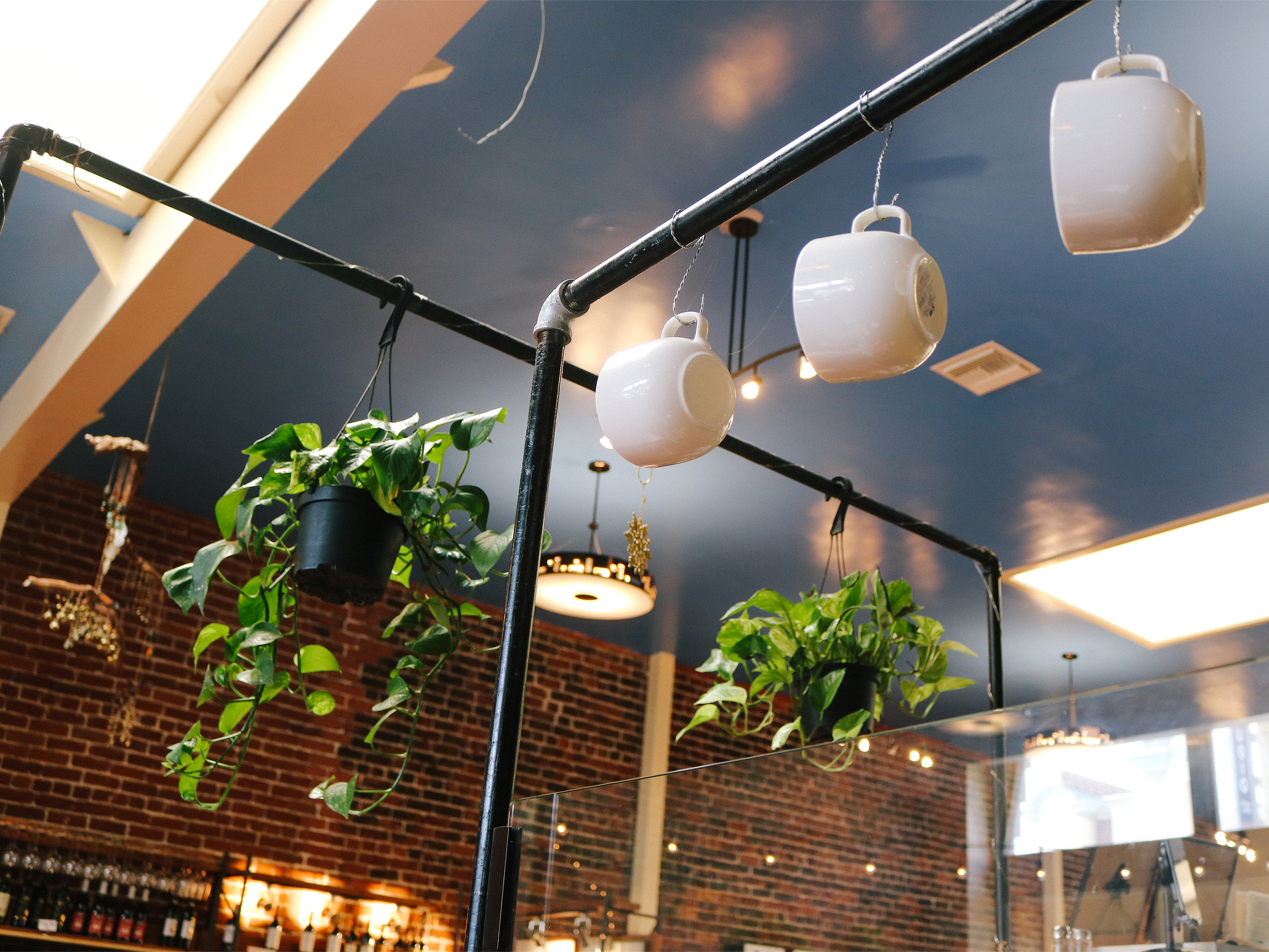 coffee mugs and plants hanging out
