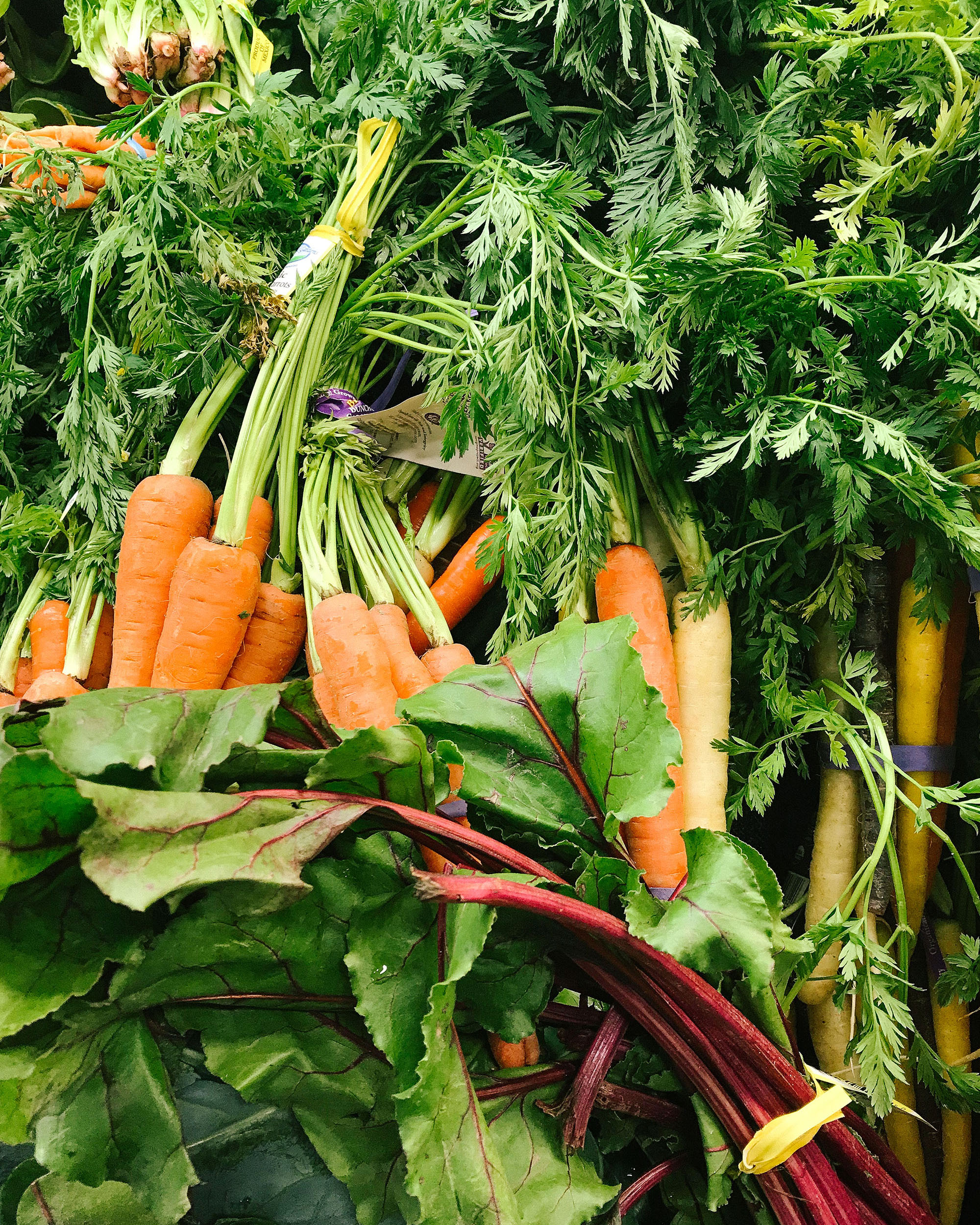 Photo of carrots and leafy greens