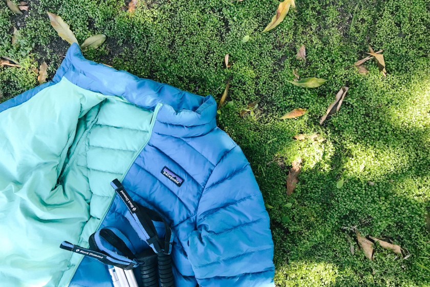 patagonia down jacket
