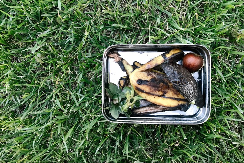 Cover photo of compost in a stainless steel container