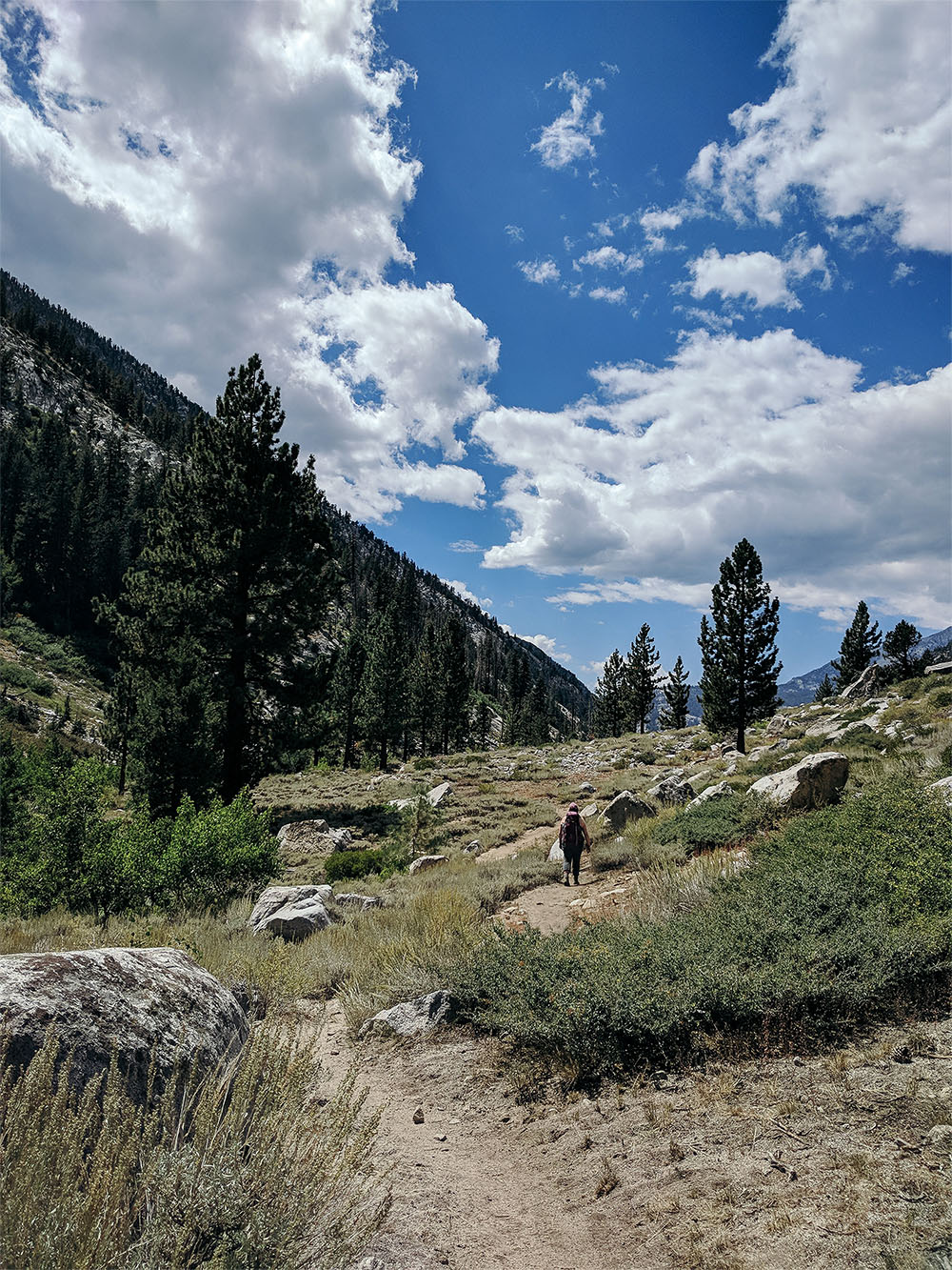 hiking in the mountains