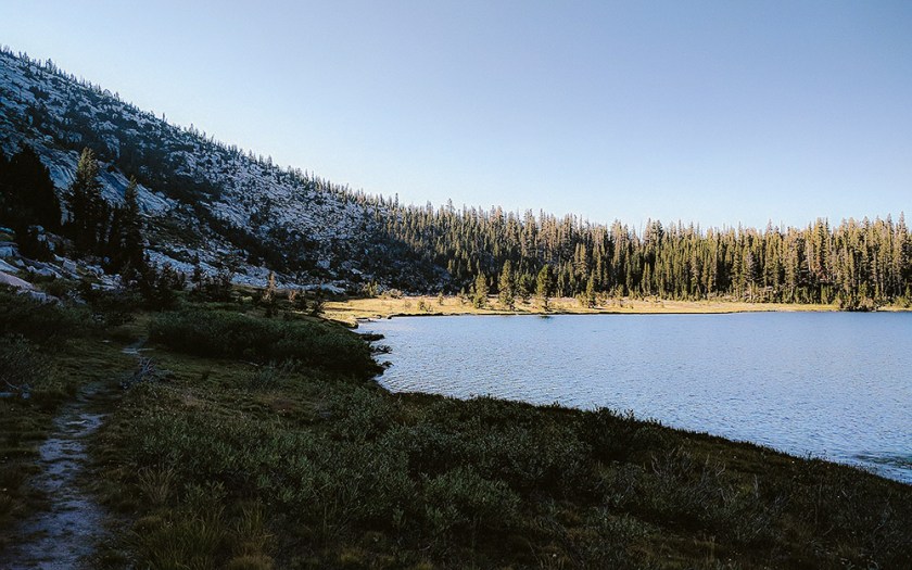 Tinycaravan: On Environmental Optimism