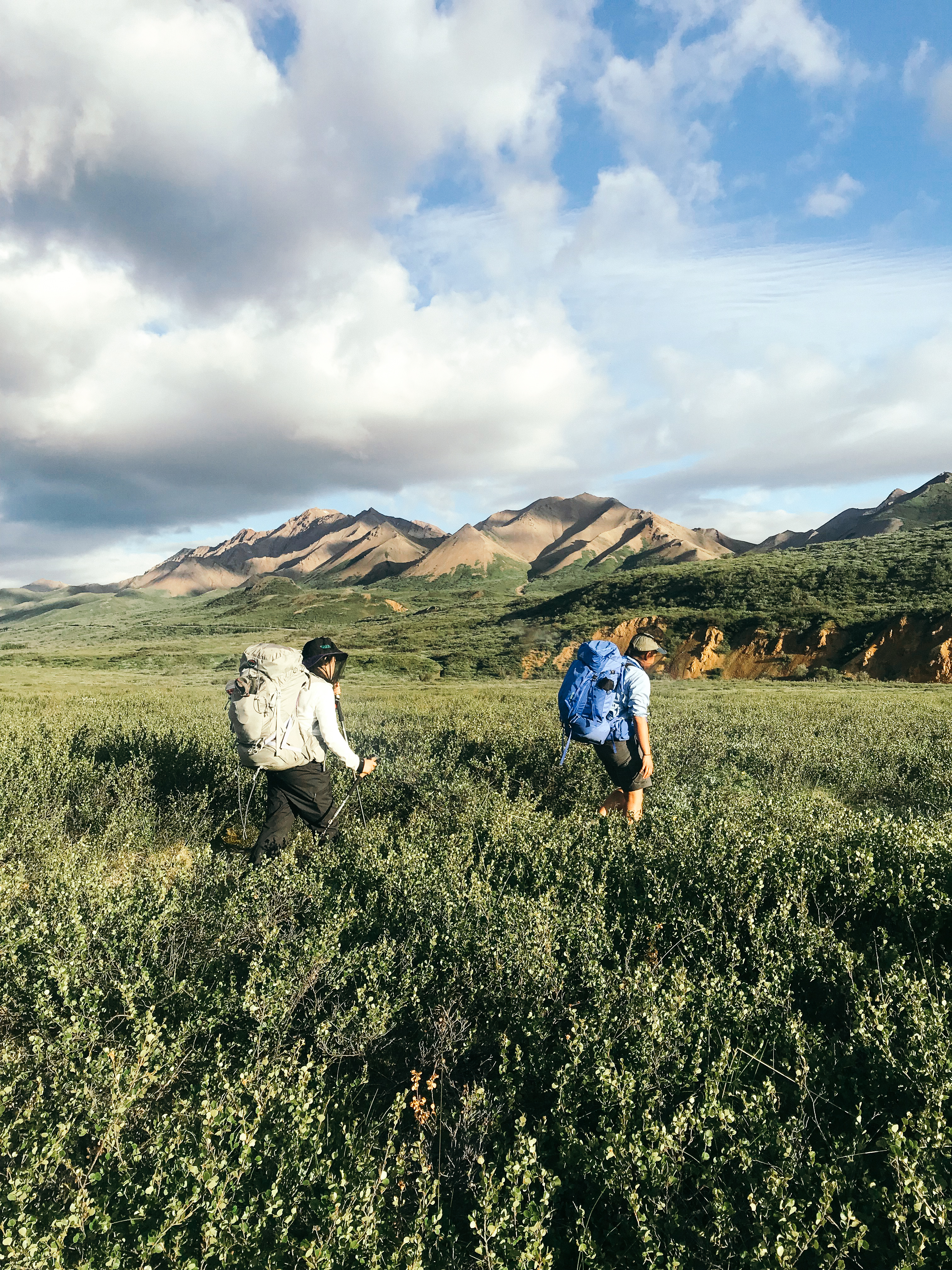 backpacking in the outdoors (Denali, Alaska)
